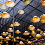 WhatsApp Image 2026-03-06 at 5.50.19 PM